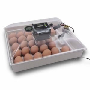 All In One Automatic Egg Incubator 768x762 1