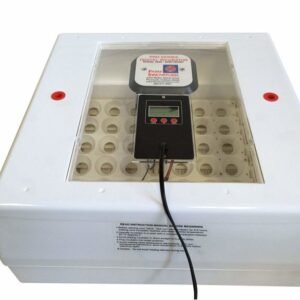 Digital Circulated Air Incubator 768x576 1