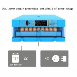 Eggs Transparent Hatching Machine. 768x768 1