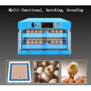 Eggs Transparent Hatching Machine. 768x768 3