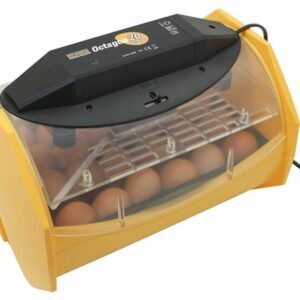 Manual Egg Incubator for Hatching 24 Chicken Eggs or Equivalent 768x583 1