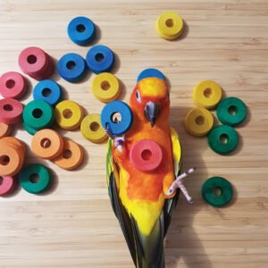 30 coloured wooden discs parrot toy making parts