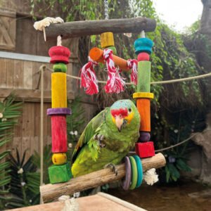 activity swing parrot toy