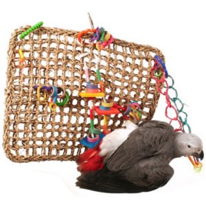 activity wall chewable parrot toy