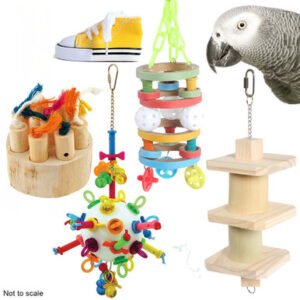 African Grey Parrot Toy Sale Pack