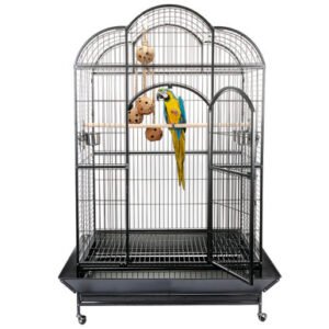 atlantis large dome top parrot cage