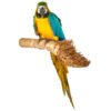 bamboo root wood natural parrot perch medium