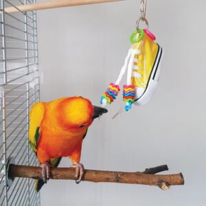 beaker sneaker parrot toy