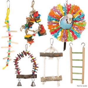 budgie parrot toy pack