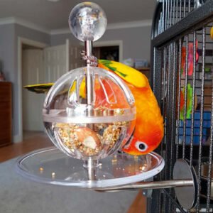 buffet ball with cage mount tough foraging parrot toy