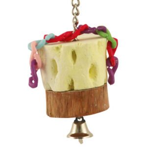 cactus slice mineral chew parrot toy