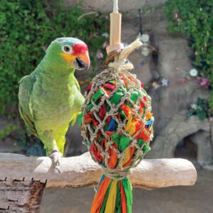 catch of the day parrot toy small