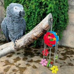 Charming Jingle Ball Parrot Toy