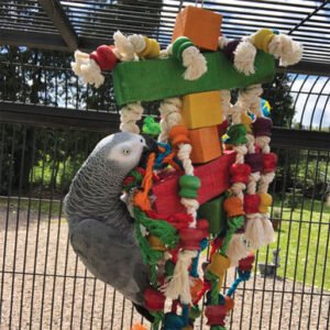 chewtastic wood rope parrot toy