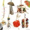 cockatiel and small parrot toy pack