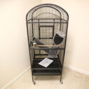 collection only prevue dome top medium parrot cage black