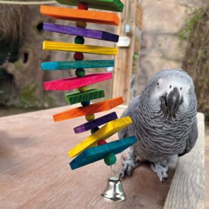 Coloured Stacker Wooden Parrot Toy - Large