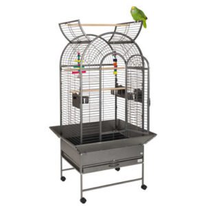 cortes top opening parrot cage antique