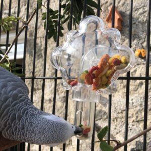 Food Tumbler Foraging Parrot Toy