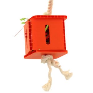 foraging cube parrot toy small