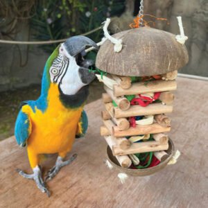 Foraging Hut Parrot Toy - Large