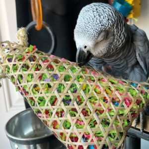 Foraging Pouch Chewable Parrot Toy