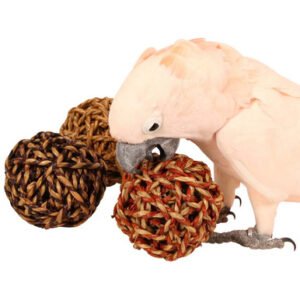 giant sea grass ball parrot chew toy pack of 3