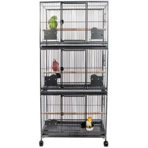 grande parrot cage triple antique