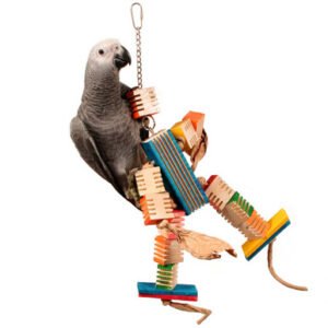 groovy dancer parrot toy