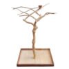 java midi tree natural hardwood parrot stand