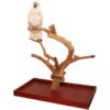 java tabletop tree large natural hardwood parrot stand