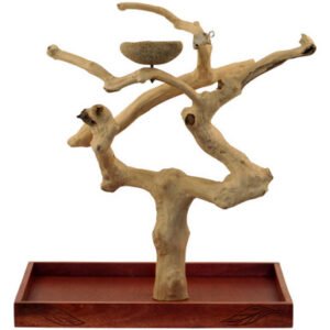 java tabletop tree medium natural hardwood parrot stand