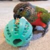 Jaws Ball Rubber Foraging Toy