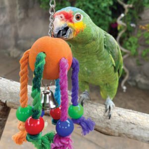 jiggly bug wood and rope parrot toy