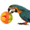 jingle ball parrot play toy large