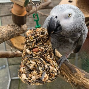 johnsons parrot bumper treat seed bell 150g