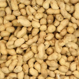 Johnston and Jeff Monkey Nuts for Wild Birds 650g