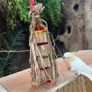 le tenda shreddable cardboard parrot toy