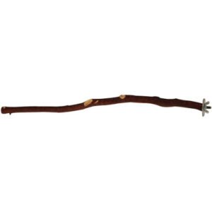 manzanita perch 18 45cm medium natural parrot perch