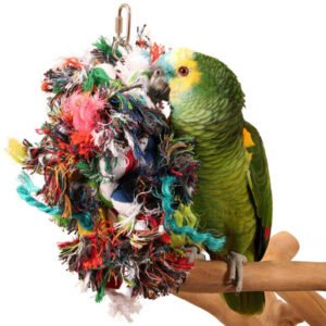 multi preener parrot toy