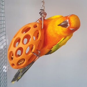 nutcase bird safe rubber foraging toy for parrots