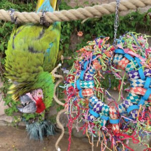 Paper Party Wheel Parrot Toy