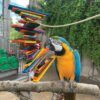 pharaon tower twist parrot toy medium