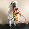 rollicking foot toy for parrots