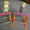 sanded nail trimming tabletop parrot stand medium