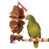 shredding coronet parrot toy medium