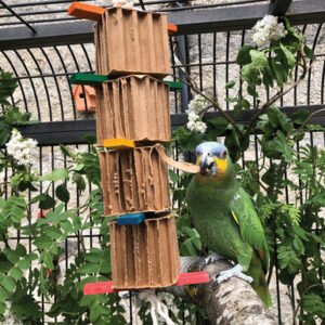 shredding tower honeycomb cardboard parrot toy large