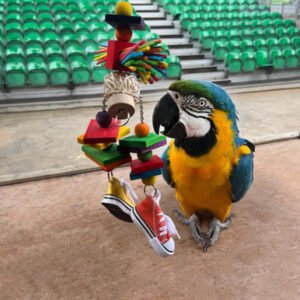 sneakers scarecrow parrot toy