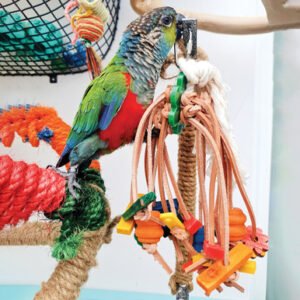 Spiddy - Medium - Multi Textured Parrot Chew Toy