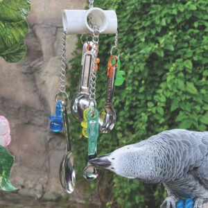 spoon clacker stainless steel parrot toy